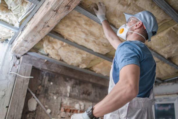 Best DIY Insulation Kits and Guidance in Evergreen Park, IL